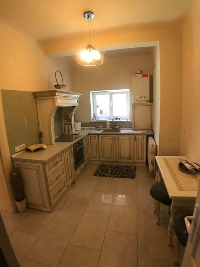 Apartment Vintige Cluj-Napoca Eksteriør billede